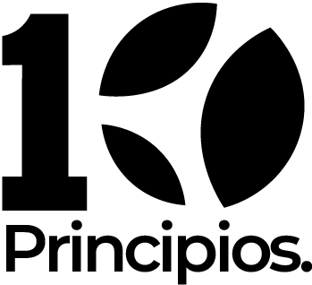 10-principios.png
